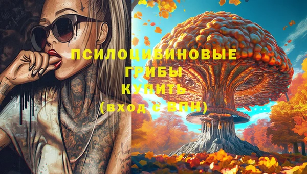 наркотики Новозыбков