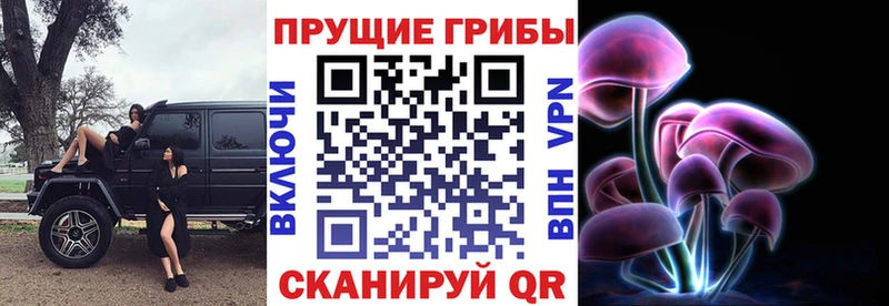 Галлюциногенные грибы ЛСД  Купить  Зубцов 